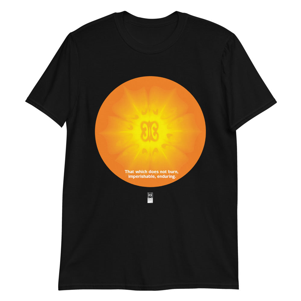 Short sleeve tee featuring a West African Adinkra symbol celebrating the Summer Solstice, black