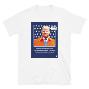 Trump Indictment Short-Sleeve Unisex T-Shirt, colors white and gray